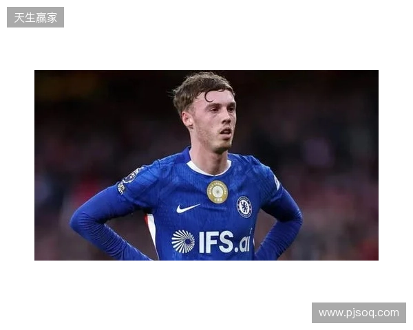 帕尔默：此前连输四场滋味并不好，赢维尔港让大家重拾好心情